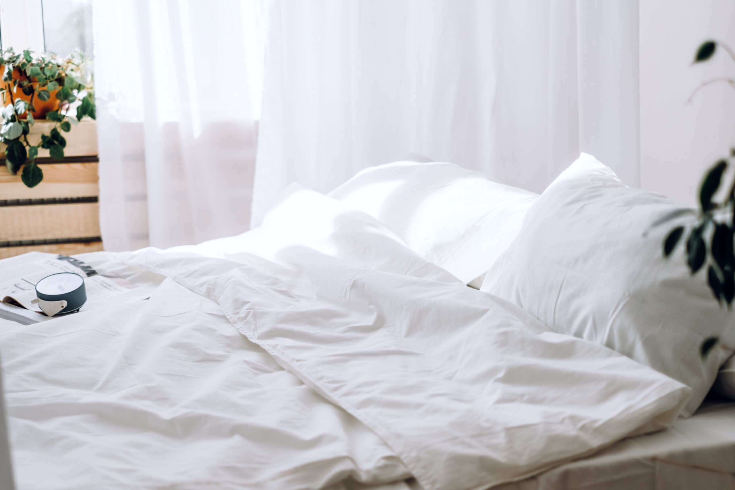 “How do I know what duvet to buy?” THE ISSUE OF SIZE. 10 comfortable bed with soft pillows and green plant 2024 12 02 12 09 56 utc