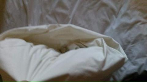 Blog 6 Cotton Percale Bedding White Buy.png 5b48375fc075ffc903051e38589b484e